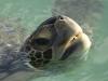 Galapagos Expedition Cruise